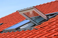 Mybster roof window